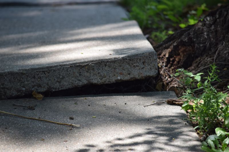 Sidewalk Raising in Tampa, FL